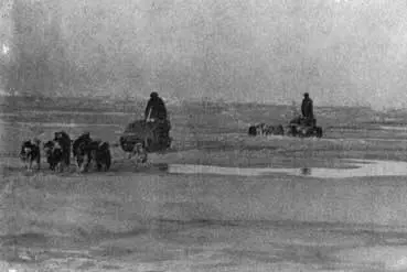 Сезон таяния лед пропитанный водой Старый полярный лед лишенный снежного - фото 13