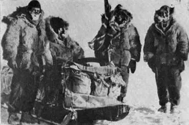 Уолли Фриц Аллан и Кен на Северном полюсе Домой Собака изучает мертвого - фото 27