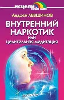 Андрей Левшинов - Внутренний наркотик или Целительная медитация