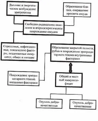 Представленная схема демонстрирует последовательность ведущих процессов - фото 1