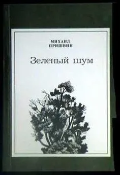 Михаил Пришвин - Дружба