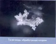 Кристалл слева образован водой из источника расположенного на берегу - фото 102