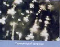 Родниковая вода богатой алмазами Тасмании порождает кристаллы похожие на - фото 106