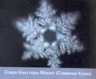 Пробу воды озера Тендерфут я взял лично Воду из Северной Кореи мне прислали и - фото 110