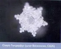 Пробу воды озера Тендерфут я взял лично Воду из Северной Кореи мне прислали и - фото 111