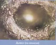 Слово ангел породило кольцо маленьких изящных кристалликов а слово дьявол - фото 12