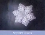 Все три кристалла хорошо сформировались и похожи Очевидно законы космоса выше - фото 21