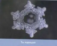 Дети говорили разные слова бутылкам с водой Результат налицо Чем больше над - фото 24