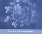 Для воды можно исполнять музыку Эти снимки кристаллов были сделаны после того - фото 28