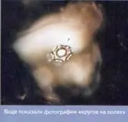 Кристалл полученный под воздействием кругов на полях напоминает летающую - фото 59