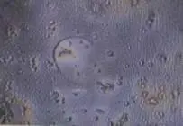 Грунтовые воды непосредственно до и после землетрясения в префектуре Симанэ - фото 62