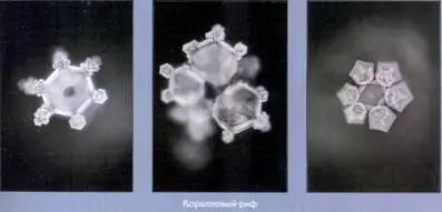 Кристаллы разные но все три состоят из более мелких кристалликов Их формы - фото 68