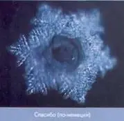 Когда мы показывали воде оскорбительные слова кристаллы не образовывались - фото 7