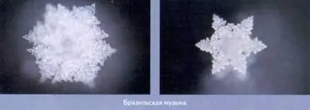 Оба кристалла имеют звездообразную форму Они словно говорят нам о том что - фото 78