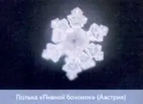 Польки из двух разных стран породили очень похожие кристаллы Эти кристаллы - фото 82