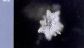 Похоже что водопроводная вода Восточной Азии не лучше чем во многих городах - фото 97