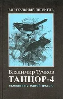 Владимир Тучков - Скованные одной целью