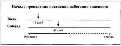 Рис 15 Начало проявления стереотипного поведения связанного с уходом от - фото 16