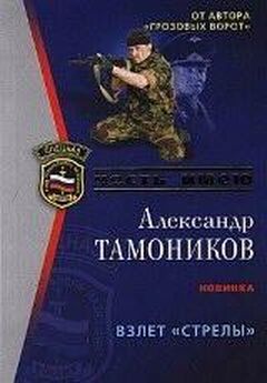 Александр Тамоников - Генералы тоже продаются