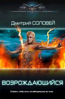 Дмитрий Соловей - Возрождающийся