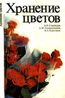 Борис Стрельцов - Хранение цветов