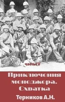 Александр Терников - Завоевание 2.0 книга 4