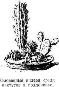 Встречается и другой вид кактусов опунции имеющие форму круглых плоских - фото 19