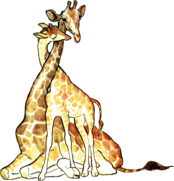 Жирафке лучше жирафумать есть жирафёнку за что обнимать - фото 14