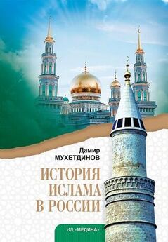 Дамир Мухетдинов - История ислама в России