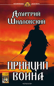 Дмитрий Шидловский - Принцип воина