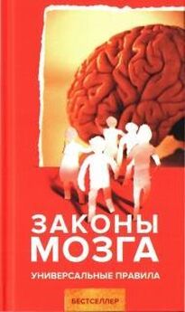 Андрей Курпатов - Законы мозга. Универсальные правила