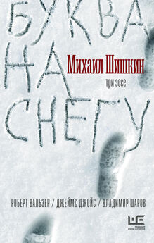 Михаил Шишкин - Буква на снегу [litres]