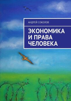 Андрей Соколов - Экономика и права человека