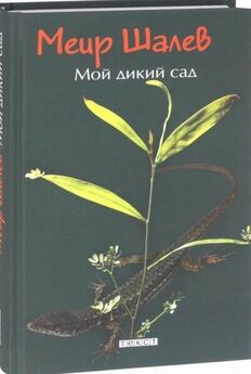 Меир Шалев - Мой дикий сад