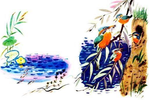 От берега к берегу с криком пролетит голубой зимородок сядет на ветку над - фото 11