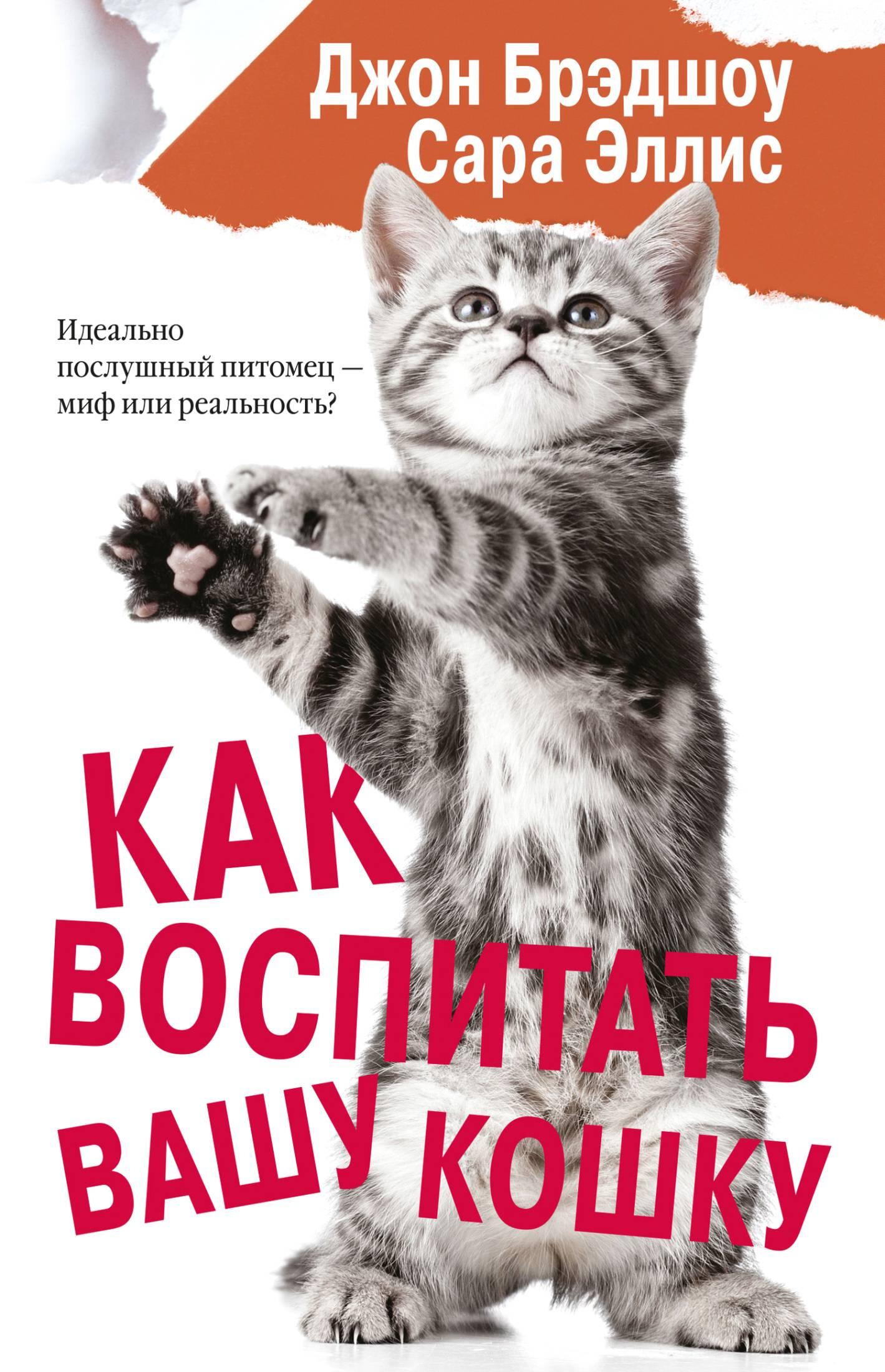 ISBN 9785179832898 Аннотация Почему кошки ненавидят переноски и боятся - фото 1