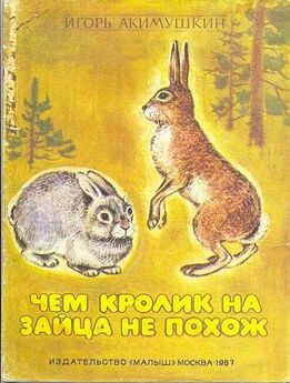 Игорь Акимушкин - Чем кролик на зайца не похож