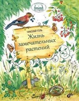 Вера Корсунская - Из жизни растений