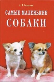 Александр Головачев - Самые маленькие собаки