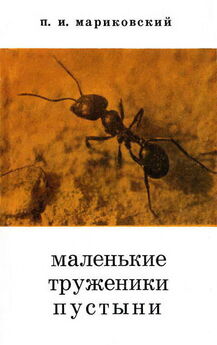 Павел Мариковский - Маленькие труженики пустыни