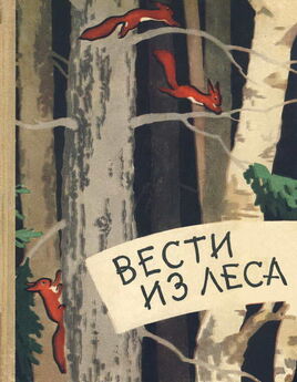 Виталий Бианки - Вести из леса