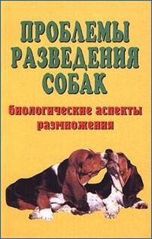 Иван Балашов - Куры мясных пород
