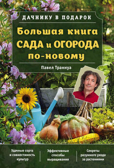 Павел Траннуа - Главные секреты вашего сада и огорода