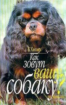 Жорж Рукероль - Книга о собаках