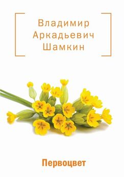 Владимир Шамкин - Первоцвет (сборник)