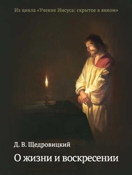 Дмитрий Щедровицкий - Слушая Нагорную проповедь