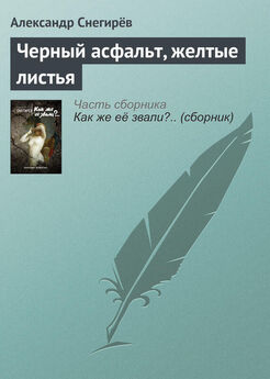 Александр Снегирёв - Черный асфальт, желтые листья