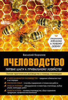 Н. Медведева - Азбука пчеловода. Руководство по разведению пчел на приусадебном участке