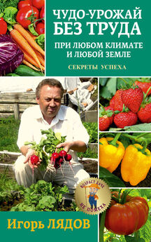 Николай Курдюмов - Как вырастить виноград на Юге и на Севере