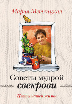 Мария Метлицкая - Женщины, кот и собака